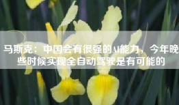 马斯克：中国会有很强的AI能力，今年晚些时候实现全自动驾驶是有可能的